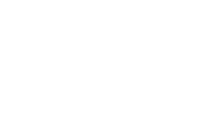 嘉實